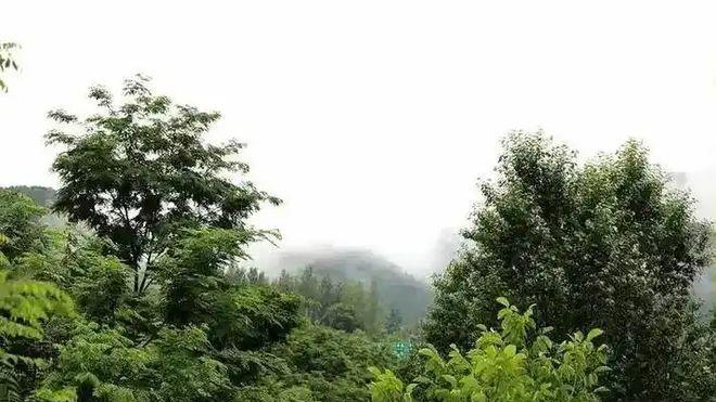 初夏雨过天晴
