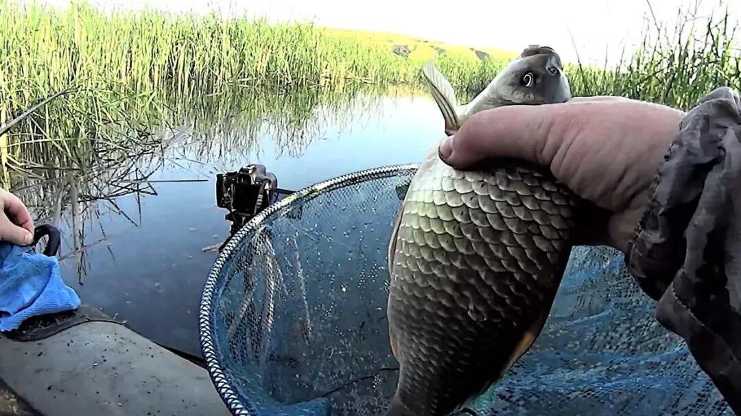 无刺钩=爱跑鱼？那是你没学会“黄金三角”配置，上鱼效率翻倍！