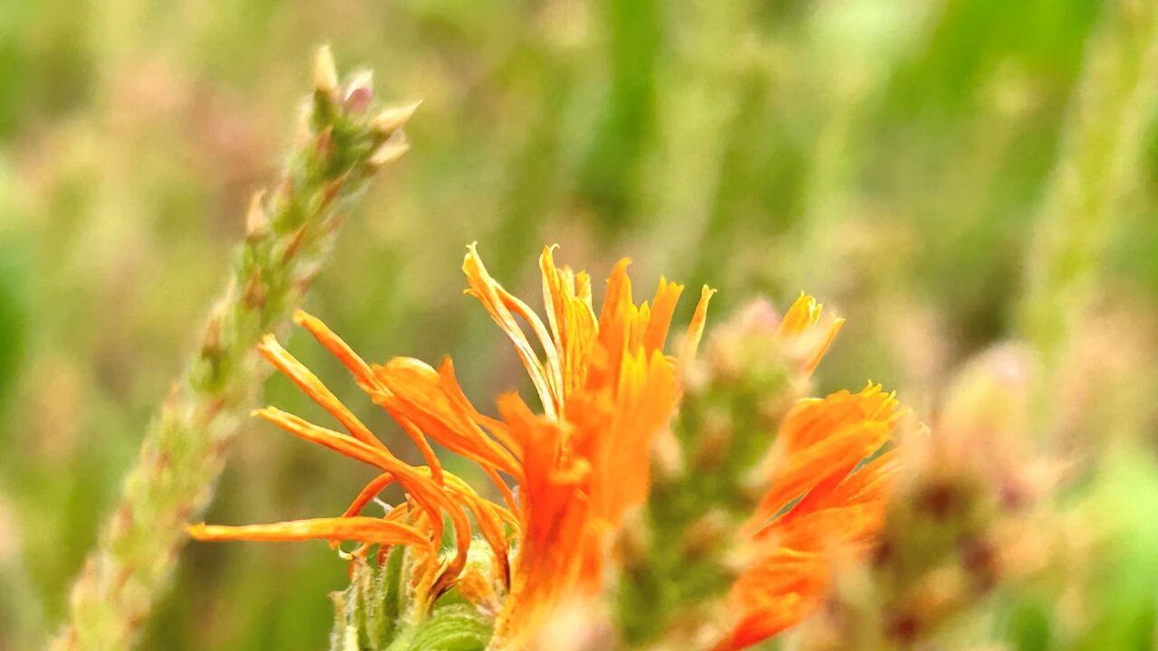 婚姻中，觉醒后的女人，会扔掉身上这3样“东西”