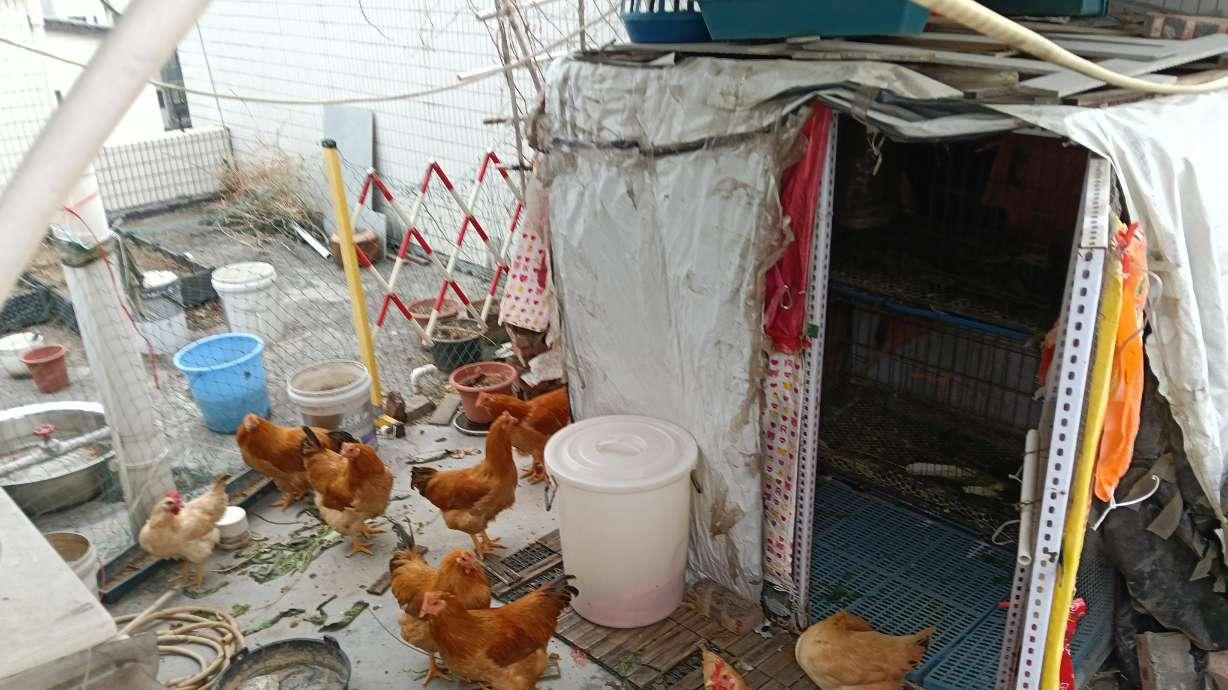 2026年清明节三天假期好忙