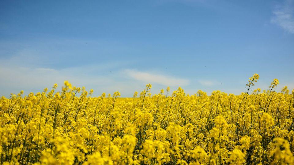 晚上8点，听到儿媳和自己妈妈打电话的内容，我收拾行李转身离开