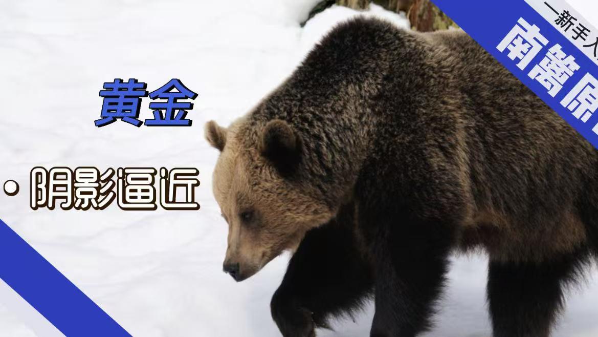 【南篱/黄金】熊市的阴影逼近