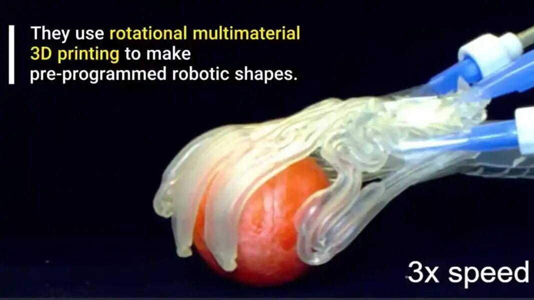 软体机器人彻底支棱起来了！活久见