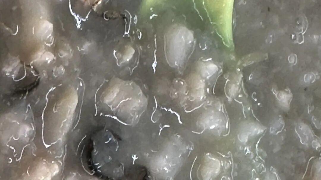 《蜜语纪》结局大反转？抛弃糟糠之妻的男人被踩着原配上位的第三者骗得团团转？
