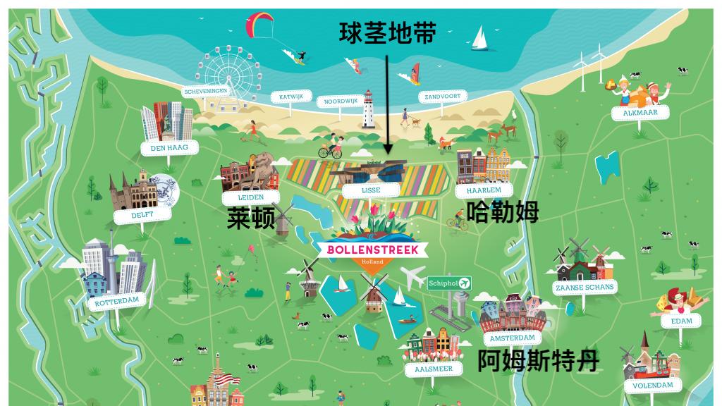 郁金香狂热的地理根源，为什么荷兰人就偏偏深信这朵花？