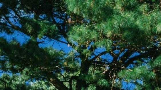 亲子阅读时光：选对书籍与互动方式的重要性