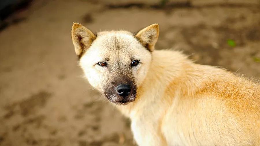 很短一个故事，却看穿了许多人！