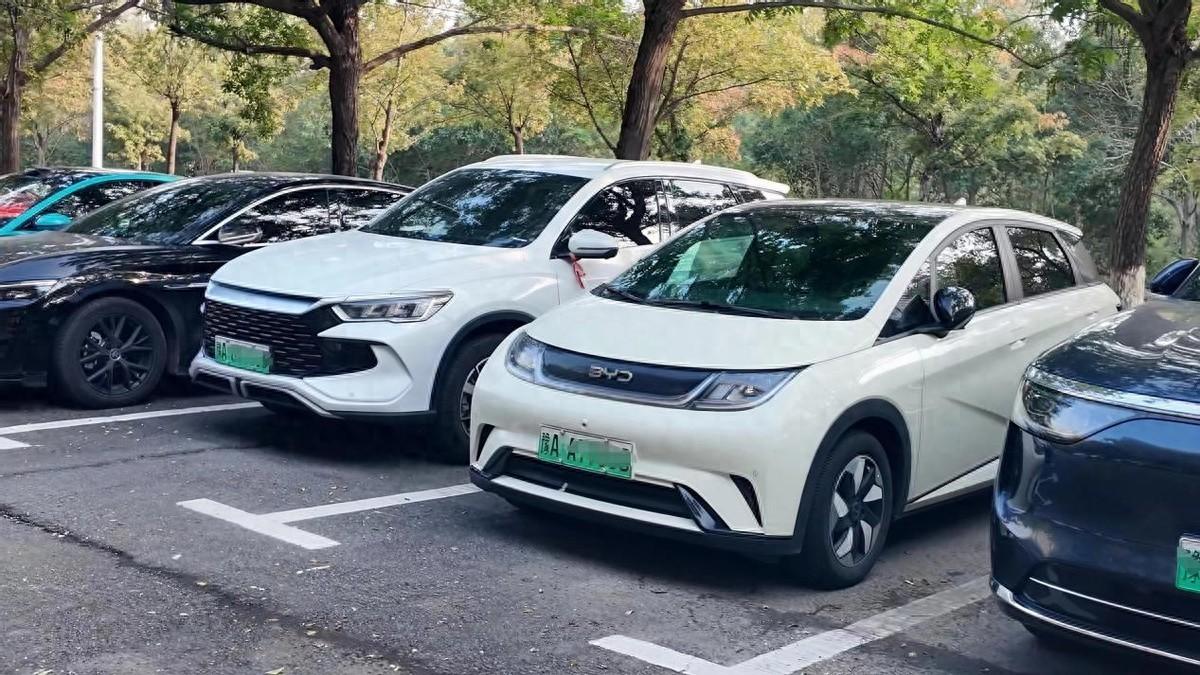 高校教师信赖比亚迪，技术、场景与理念的三重共振