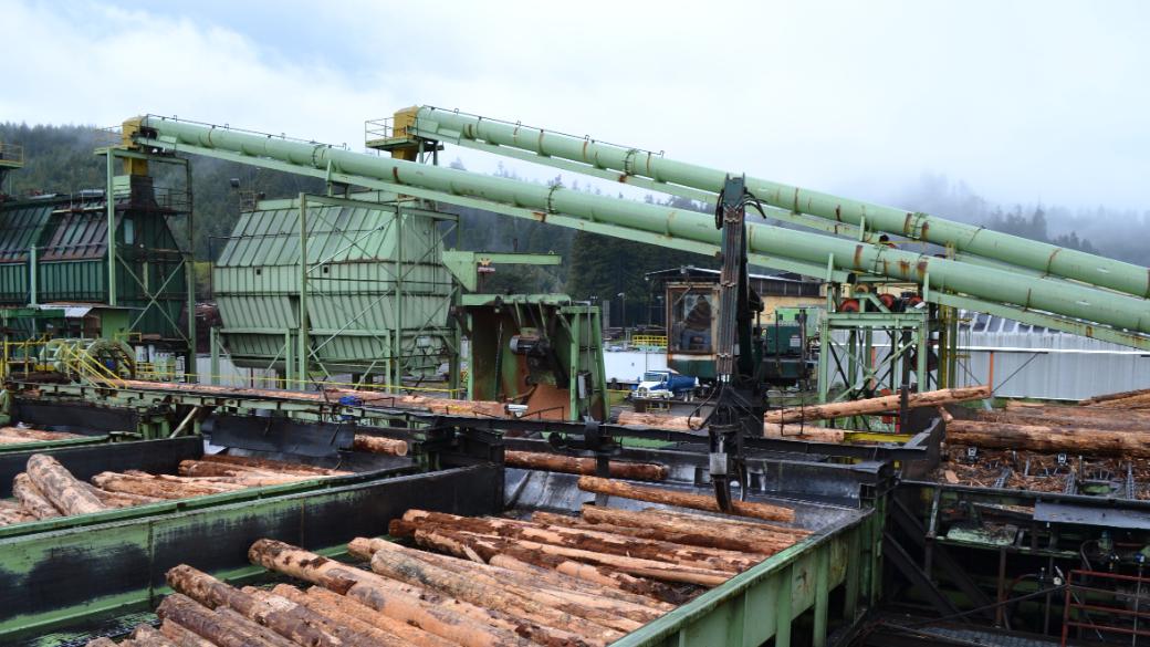 锯木厂关闭，这地市政预算出现120万大缺口！