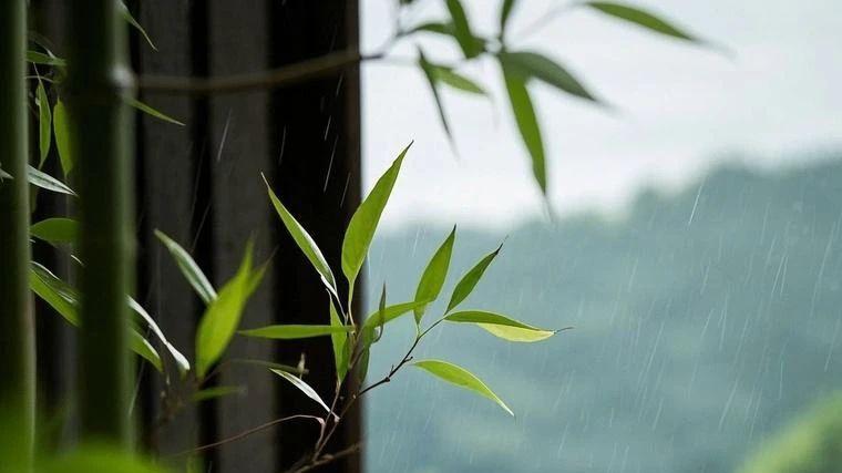 行香子·茶砚生涯