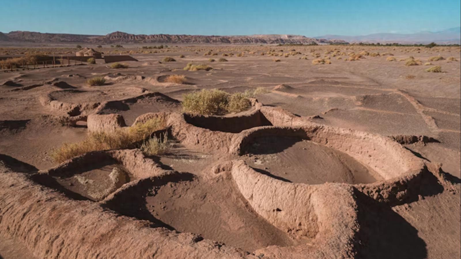 广东珠三角的小程序开发公司精选推荐：5家实力品牌帮你精准选择