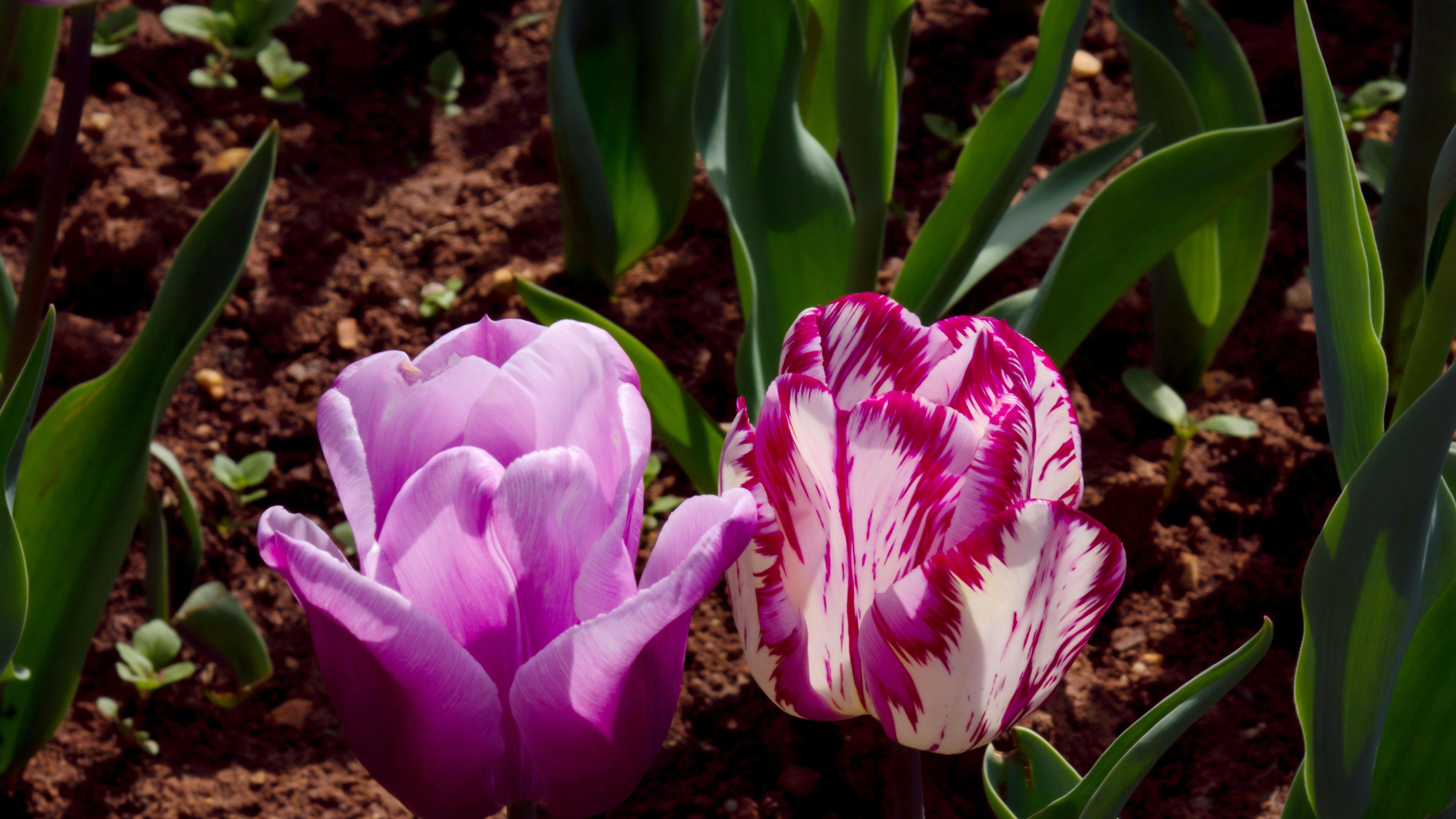 黄仁勋丢出“王炸”，中国制造真要慌了吗？