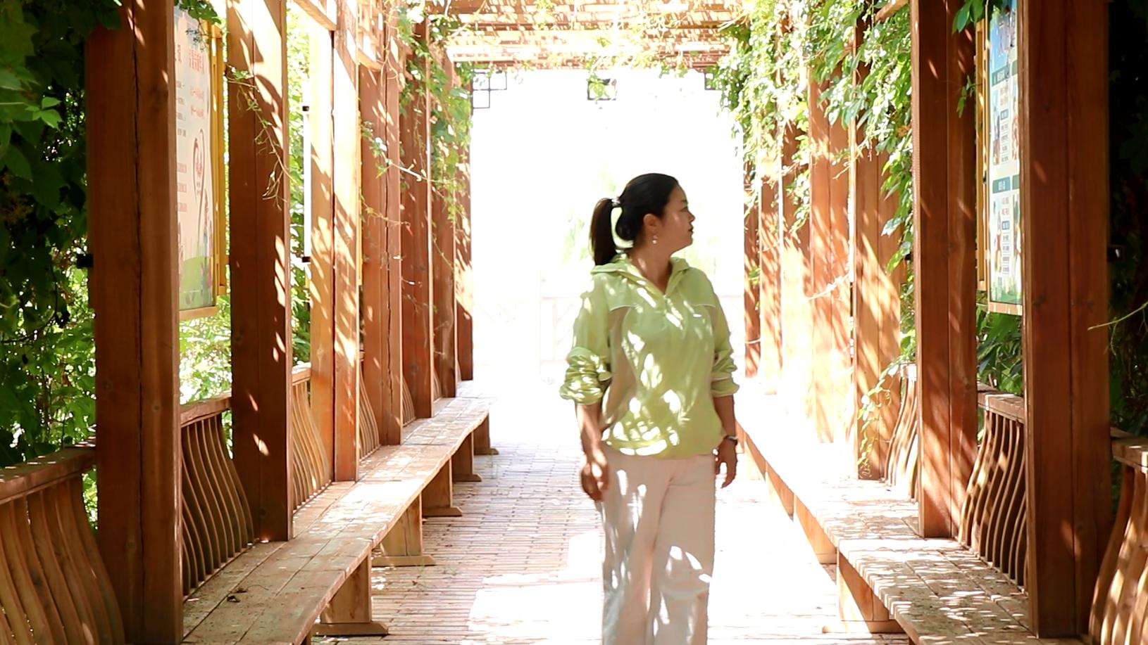 嫩肩扛重任 巾帼绽芳华   ——记全省三八红旗手、甘州区小满镇杨家闸村党支部书记尚岁琴