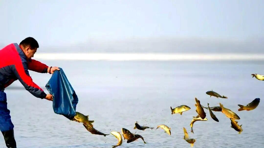 凭什么能钓鱼不能打鸟？小飞哥说出背后生态法则，钓友都应重视！