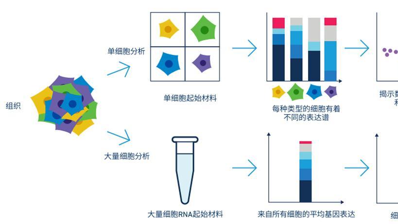 【技术解读】单细胞测序：从技术选择到数据解读