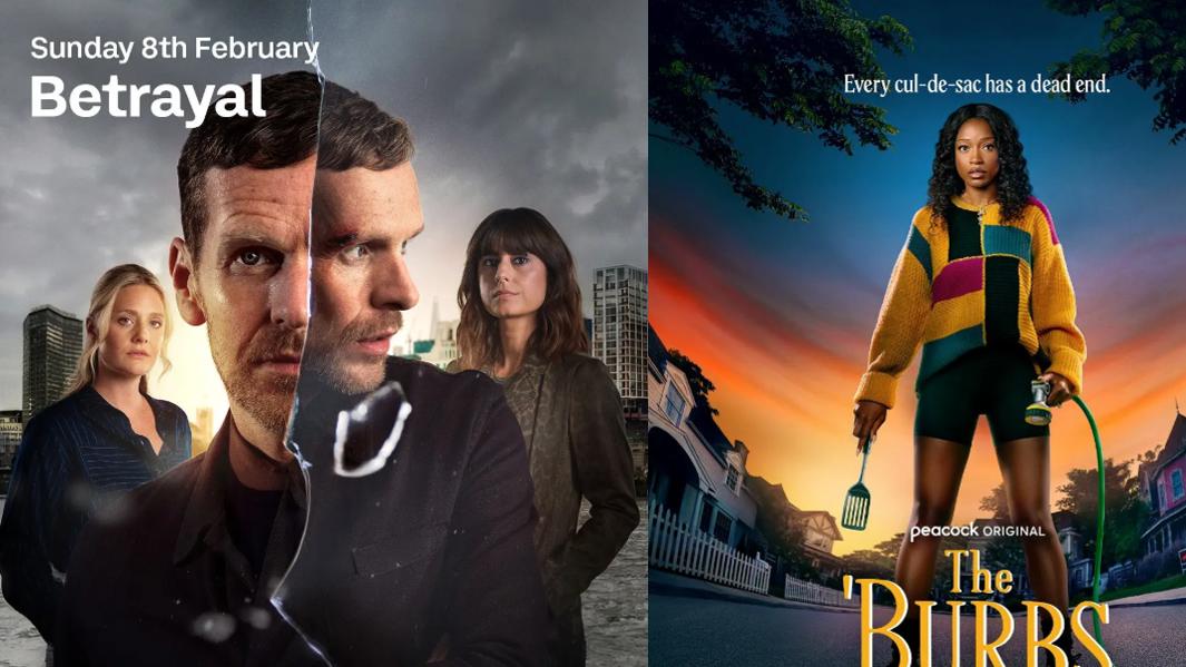 双风格暴击！《背叛》《地狱来的芳邻》开播，全程无尿点不踩雷