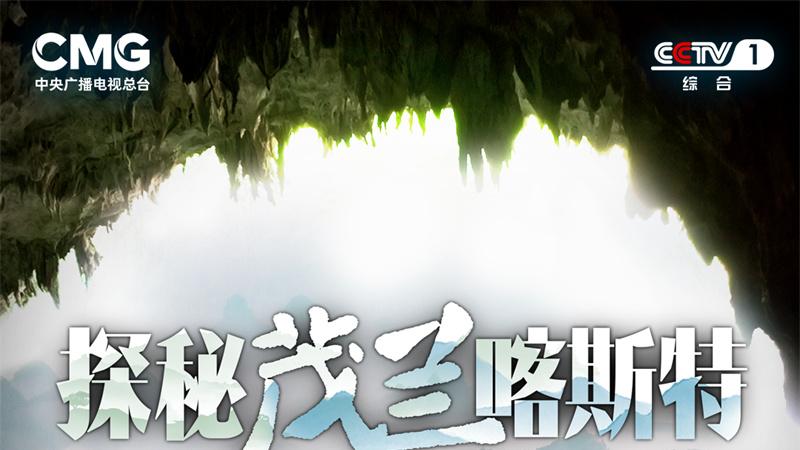 《探秘茂兰喀斯特》：看绝地之上如何“生”出绿色奇迹！