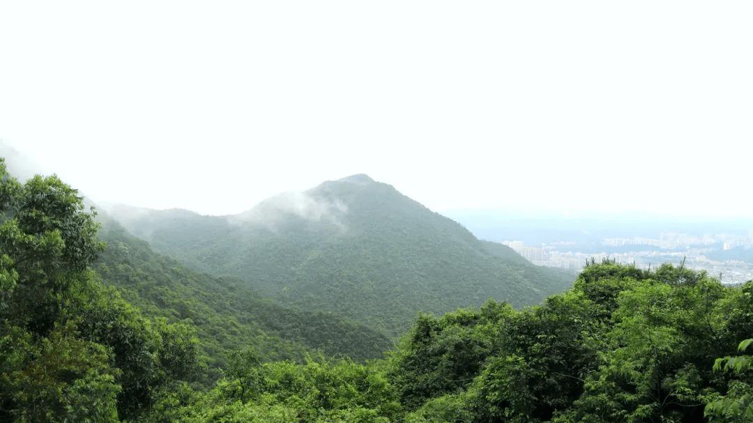 云雾缭绕似仙境，福山瀑布美出新高度，出发观音山解锁夏日小惊喜~