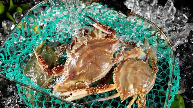 进入五九后，这3种海鲜正大量上市，鲜嫩肥美，价格便宜别错过了