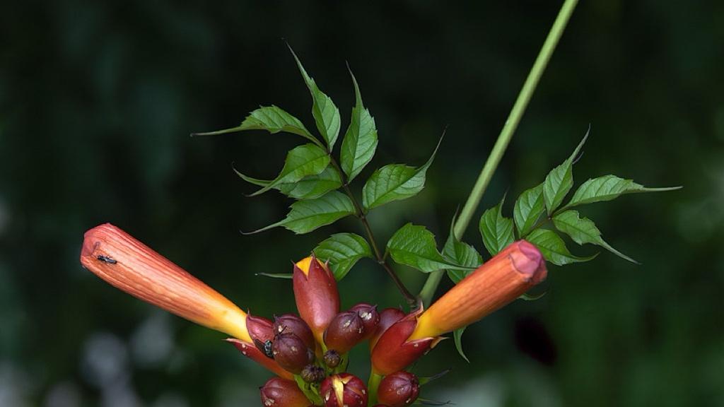 电力需求暴涨时代，真正的瓶颈不是电