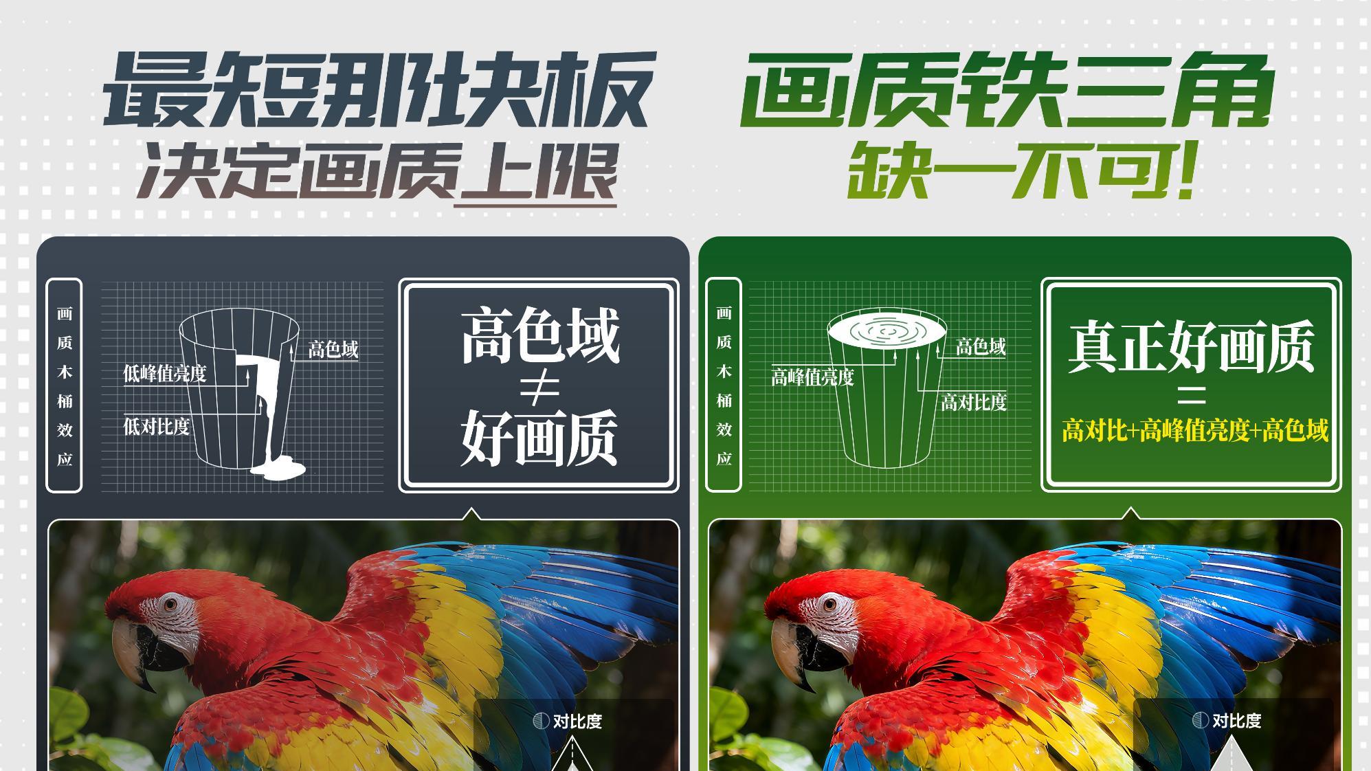 618终极战报！TCL赢麻了，SQD才是未来电视该有的样子