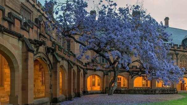 留学和移民澳洲，看着这份安家清单，要做得事一次说清