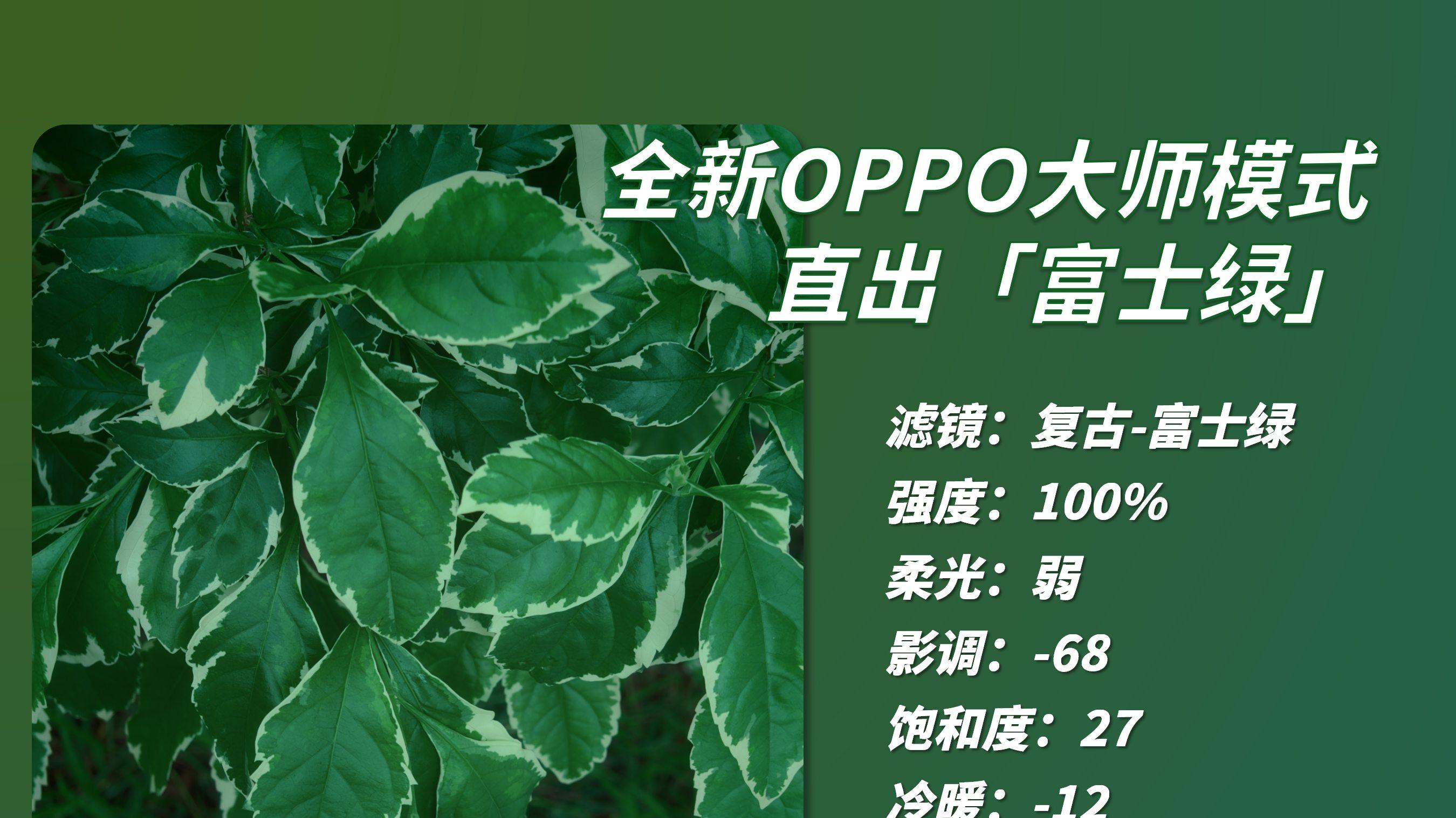 假期第一天✌🏻用手机拍富士绿胶片（附焚诀
