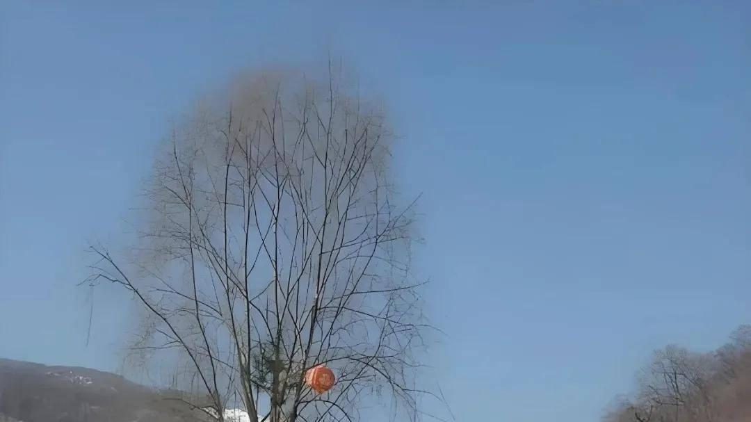 金仲兵：河北农民再努力一把，这波重污染快过去了