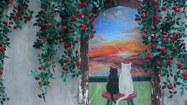 一河一街八百年，平江路里藏姑苏