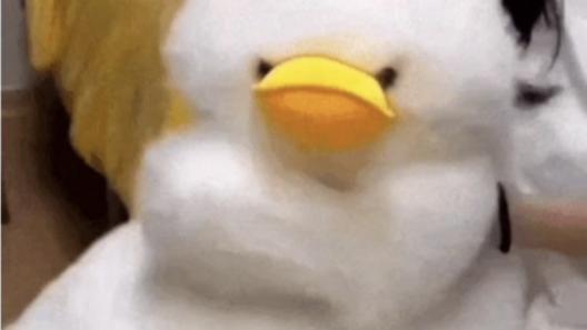 别再瞎换显示器了！TCL C3A Pro，3A 游戏 + 影音一步毕业