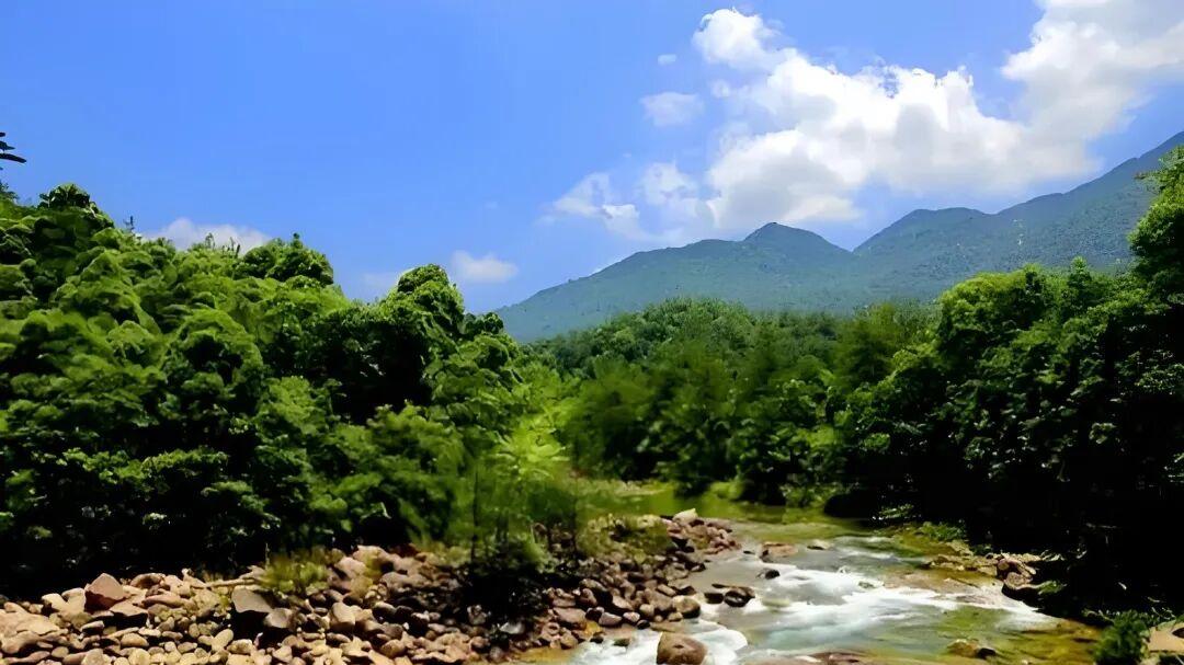 七律·山窗春梦遥