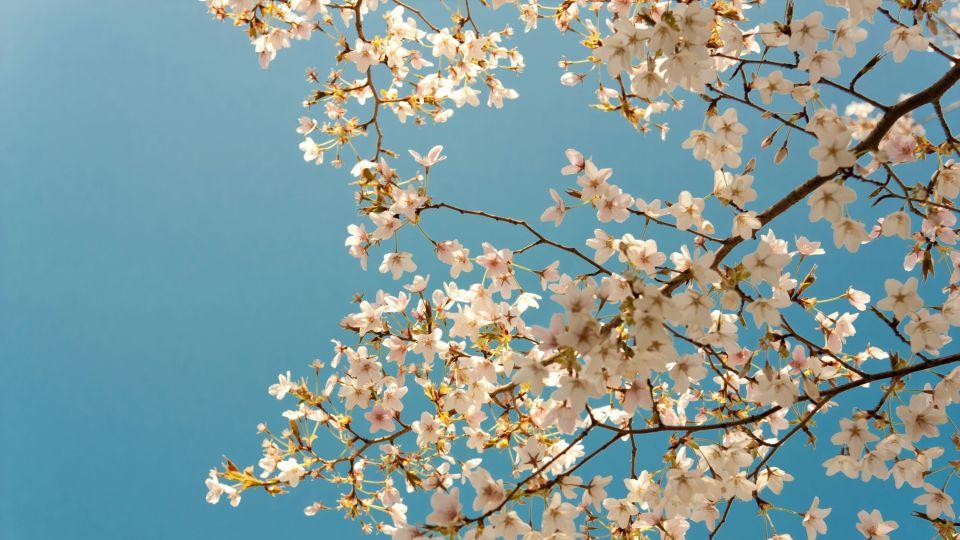 儿媳要8万月子钱和每月5000带娃费才怀孕，我说爱生不生，15万彩礼先还我