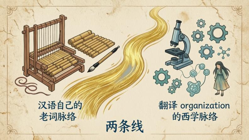 为什么「组织」这个词，必须先说清楚？