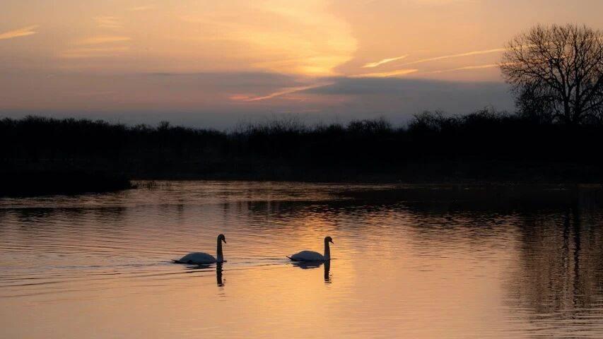今年家电市场零售压力激增！