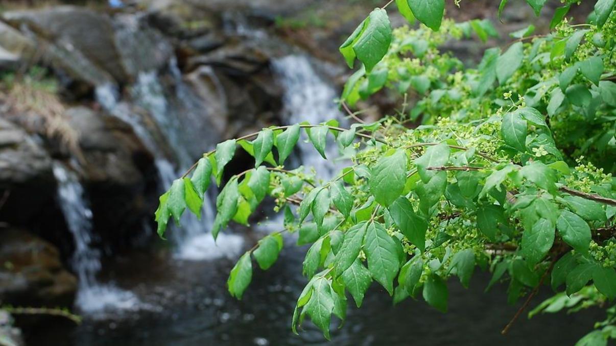 戒掉“情绪内耗”，是成年人最顶级的自律