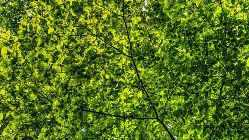 家电线上低价线下高端困局怎么破？