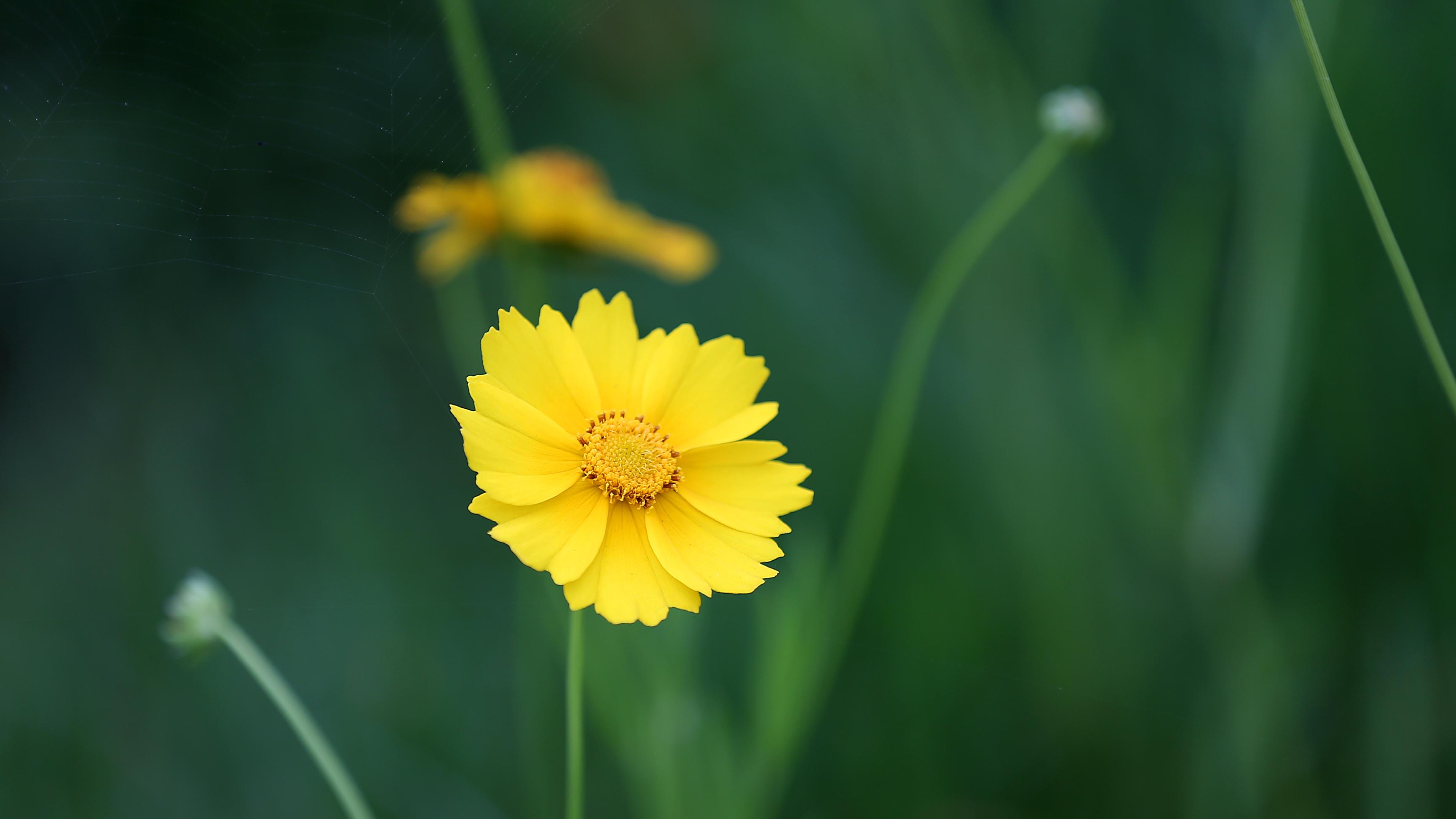 期货市场突破90亿手，但真信号不在数字里