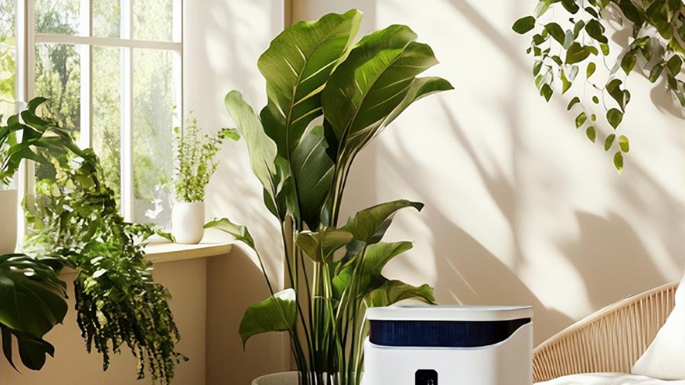 智能家电实测：新颐空净联动家居到底有多方便