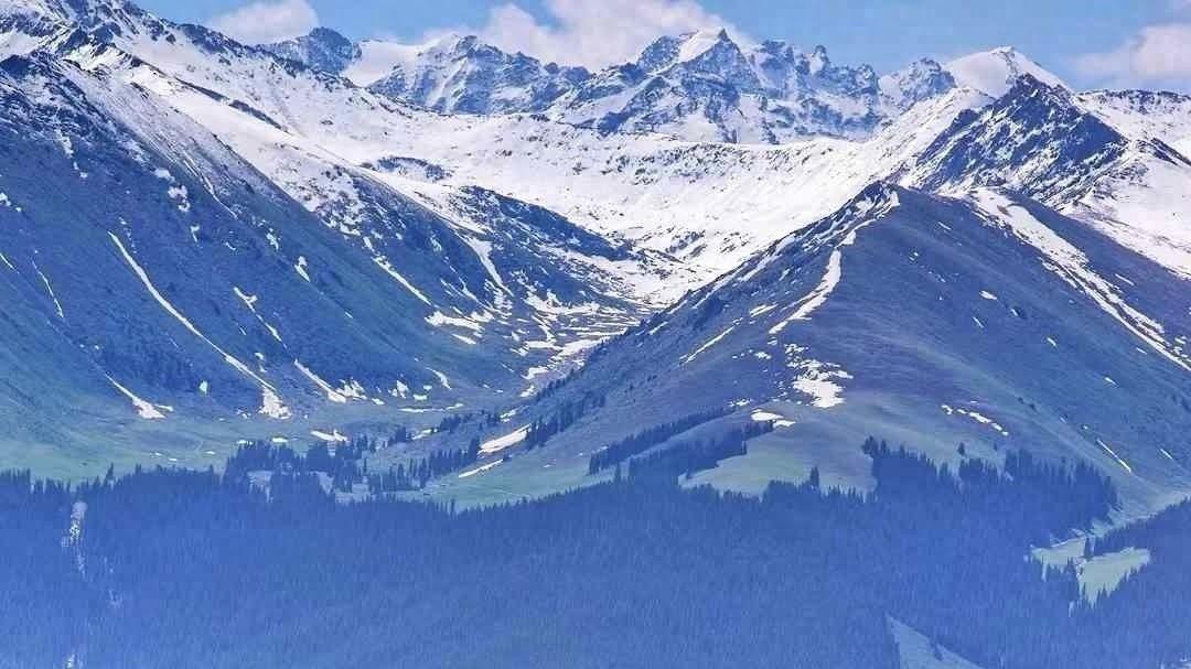 存在本身就是价值