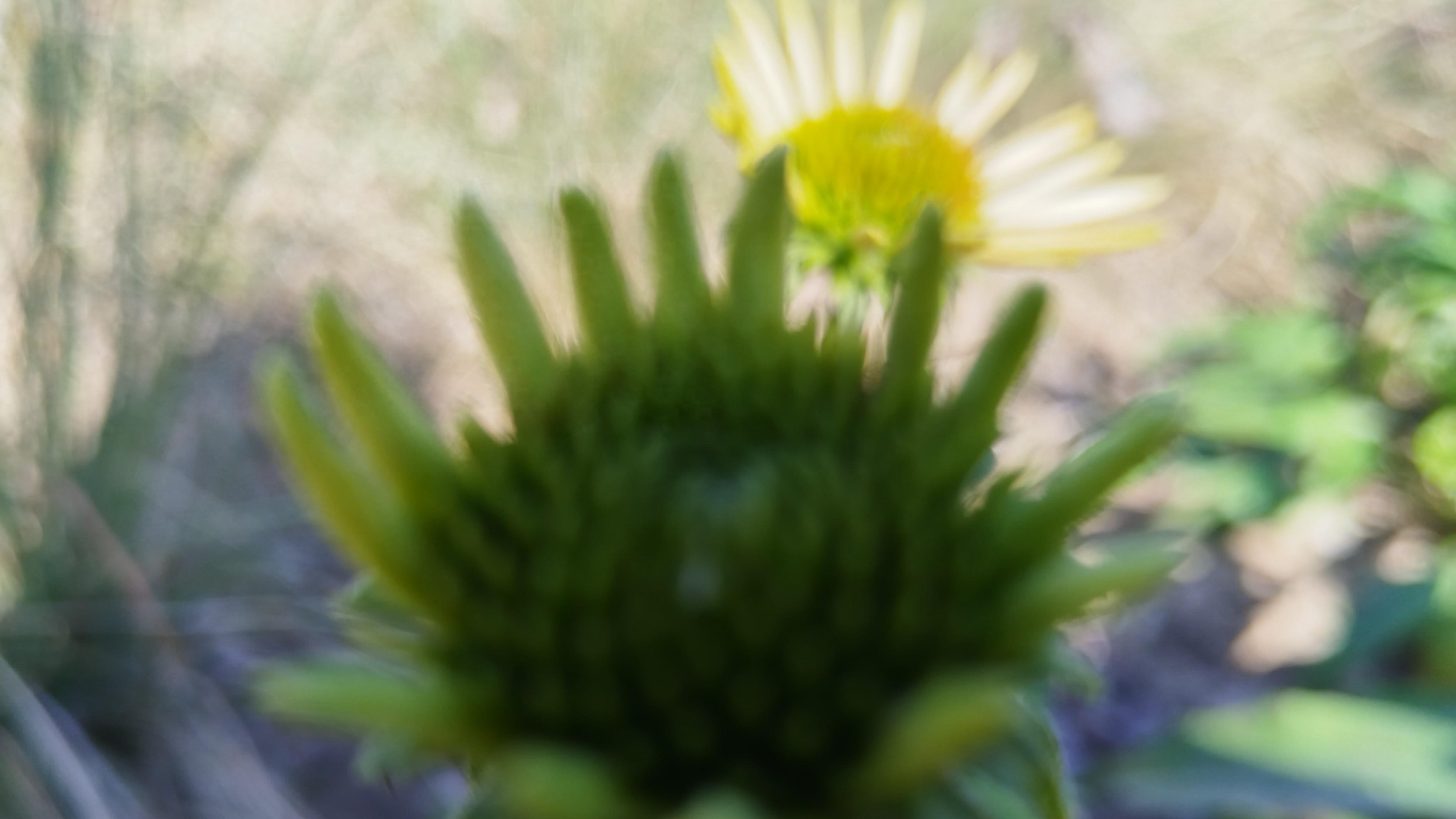 家长的松弛感，才是推动孩子内驱力和进步，并滋养孩子的最好方式