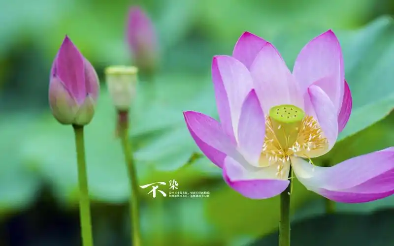 不做亏心事坦荡不怕