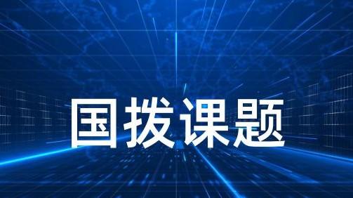国拨课题类软件项目有哪些常见类型？