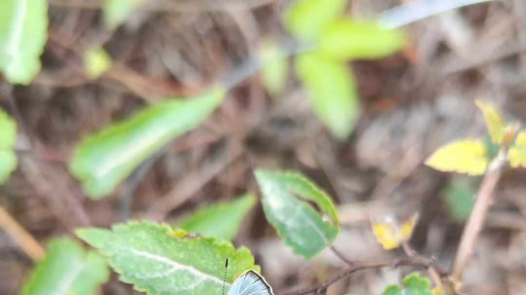 【原创】春华秋实