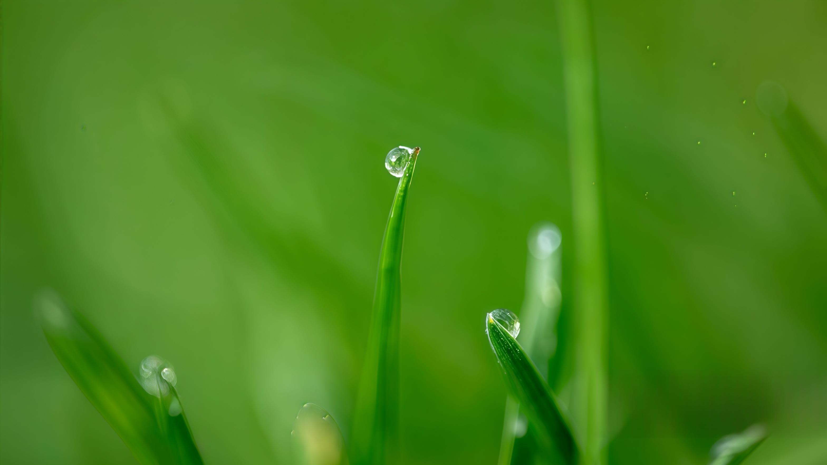 算法无法直接读取的人心