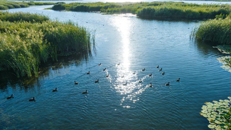湖润沛土 绿满共生