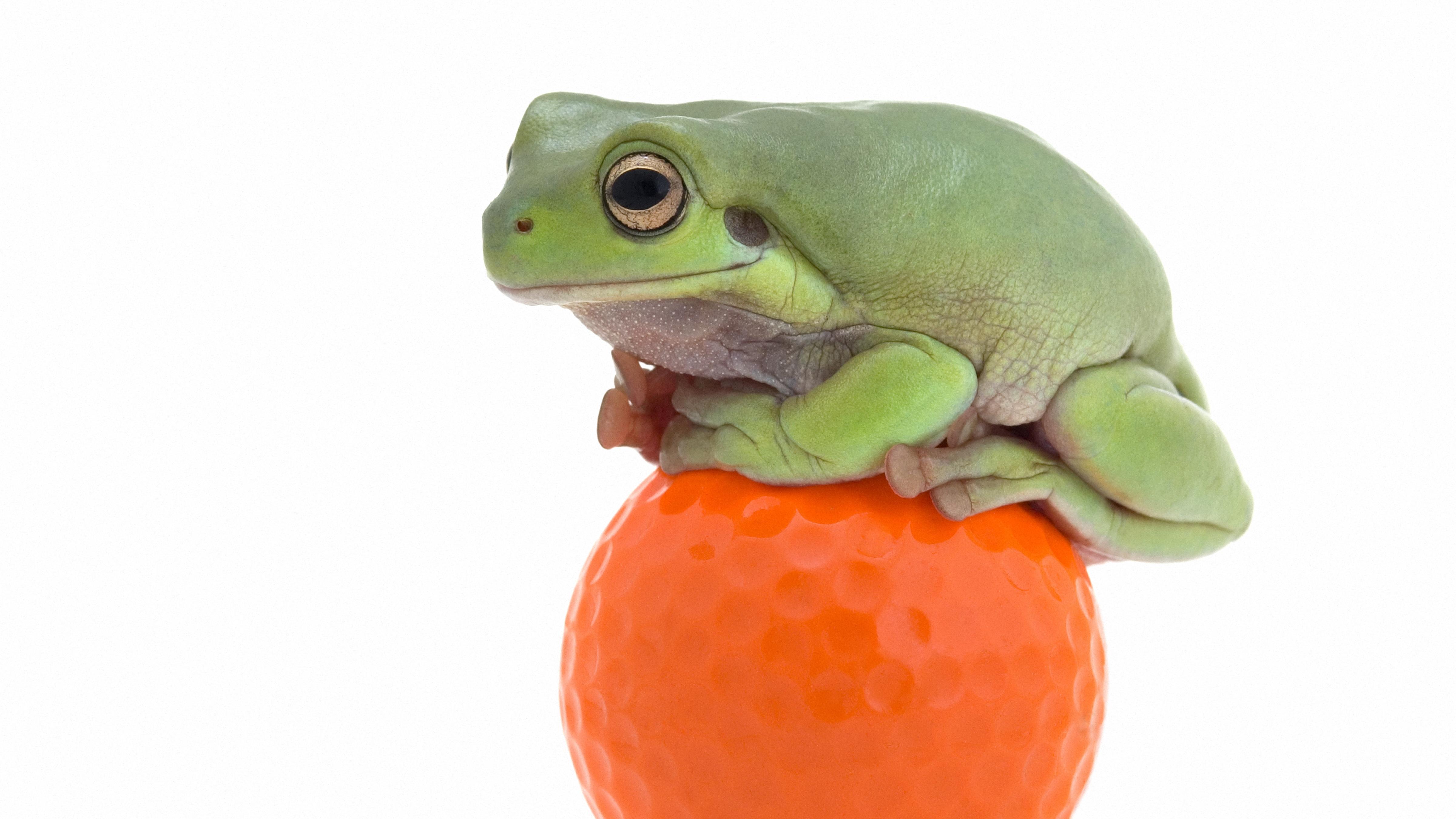 服务消费这笔账，终于有人算明白了