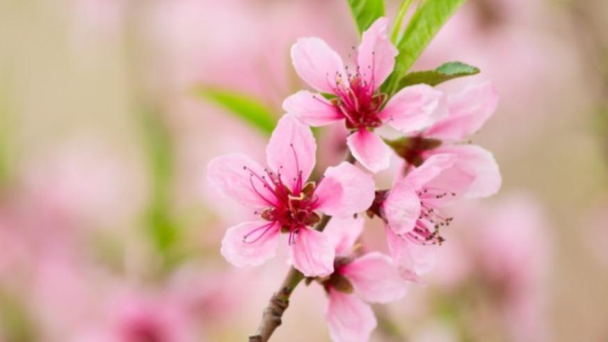 被人轻视时，聪明人只做这3件事，不争不吵，对方反而坐立难安