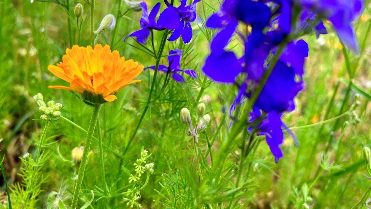 男人有了外心，会从以下三个方面算计妻子