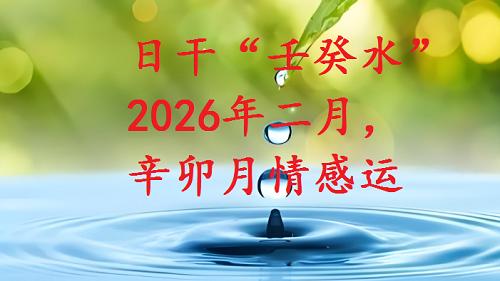 日干“壬癸水”，2026年二月，辛卯月情感运