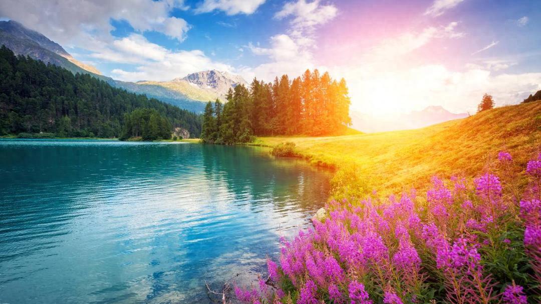 确诊双相情感障碍后，如何高效生活？康复者整理三步平衡法。